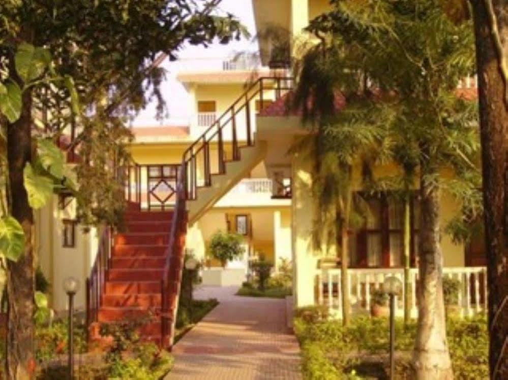 Hotel Rainforest Sauraha Exterior foto