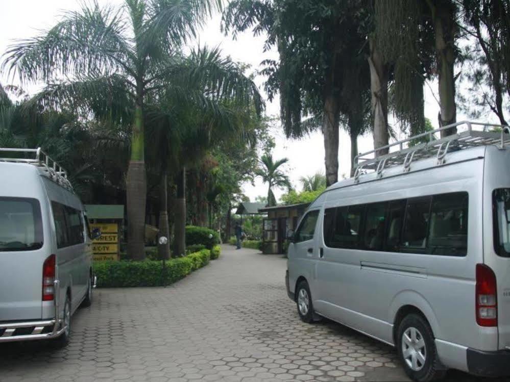 Hotel Rainforest Sauraha Exterior foto